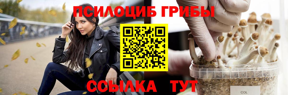сколько стоит  Псилоцибиновые грибы мицелий  Вход с VPN  Изобильный  Галлюциногенные грибы Cubensis 